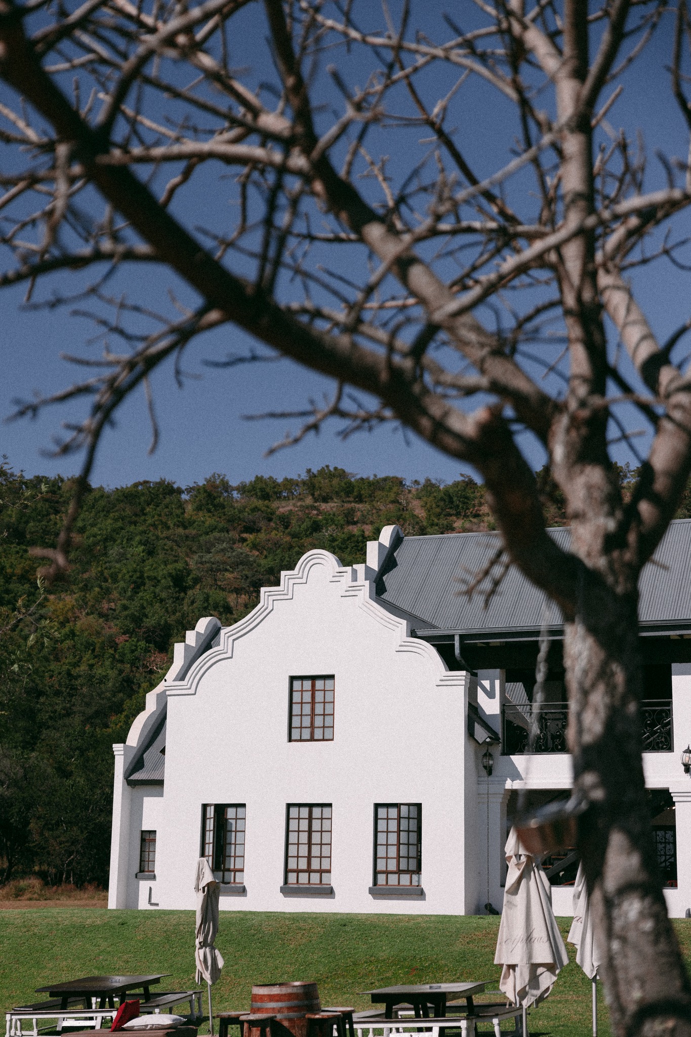 499863952 1453946855585805 7044560668410281934 n